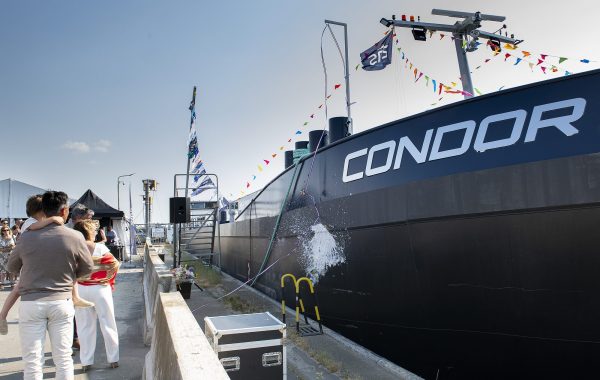 foto-condor-doop